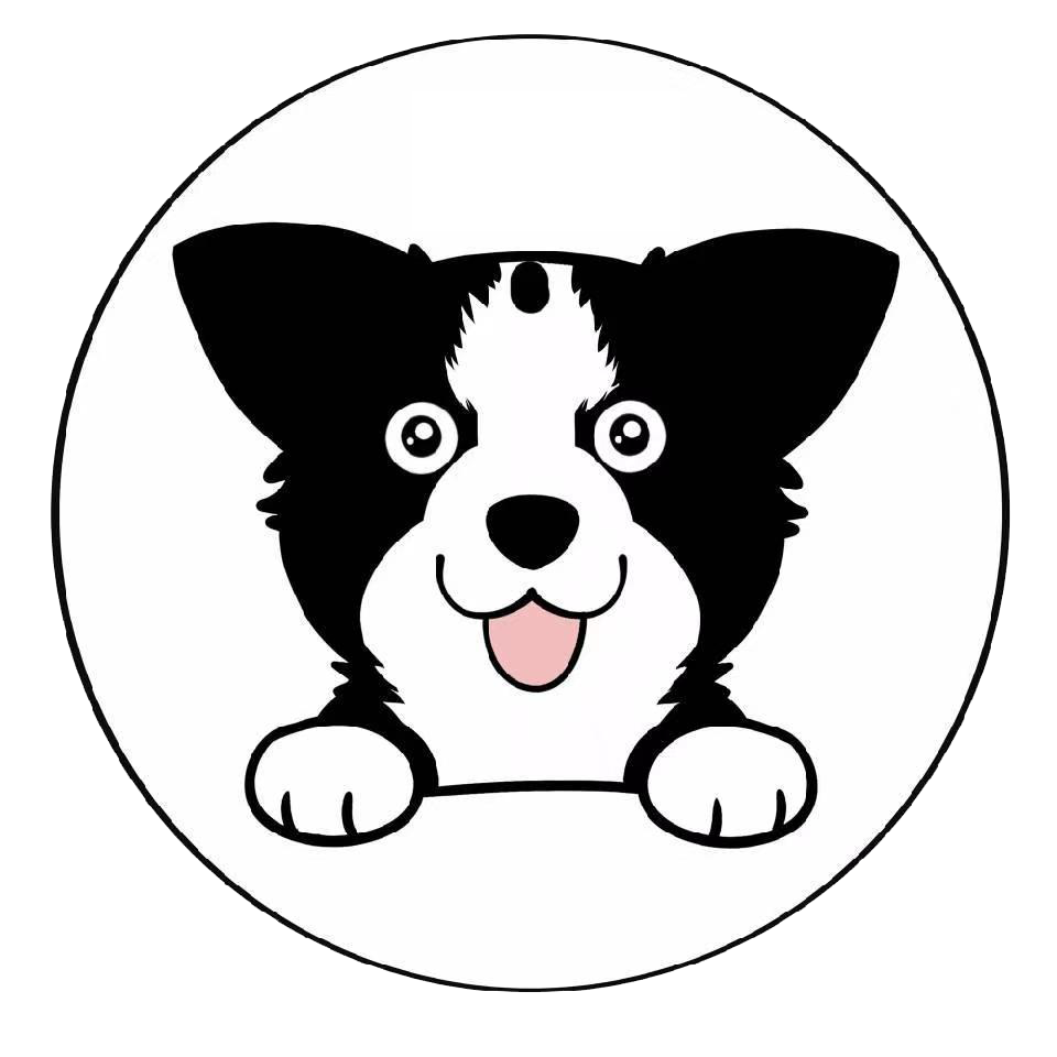 collie
