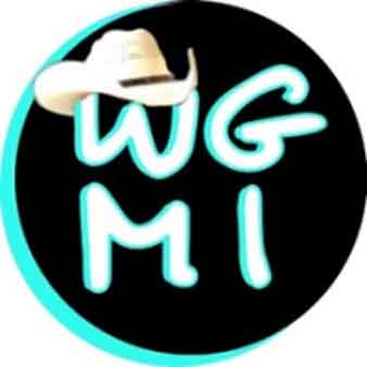 WGMI