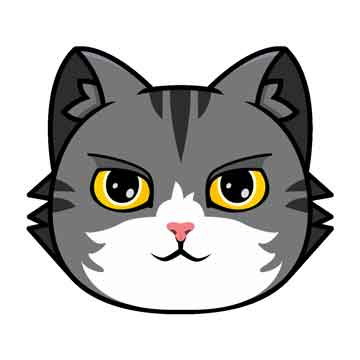 CATCOIN