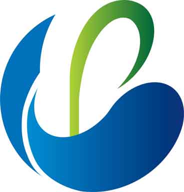 Kona Summit Platform Coin
