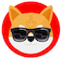 Bear Inu