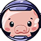 PIG2.0