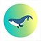 Blue Whale
