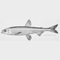 SMELT