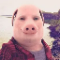 pork1_usdt