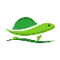 TURTLEMODE