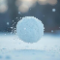 snowball
