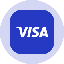 Visa Tokenized Stock