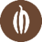 cocoa