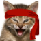 Red Kitten Crew