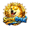sdg