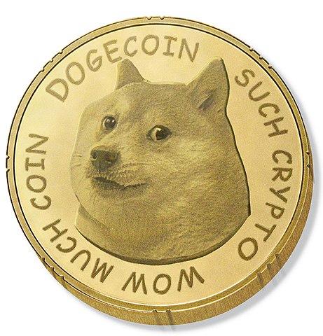 testdoge01