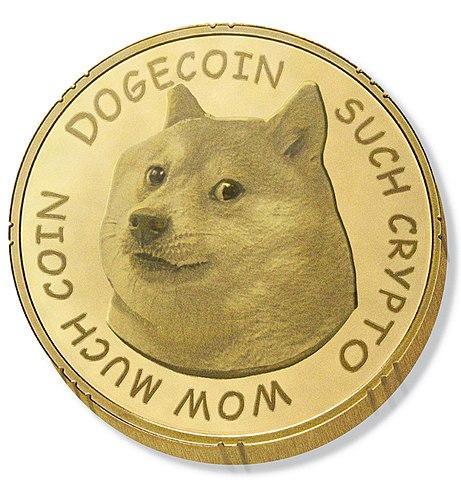 superdog7